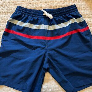 Chubbies Men's Stretch Lined Swim Trunk